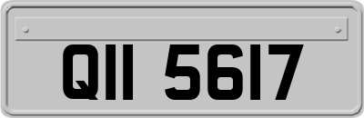 QII5617