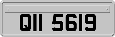 QII5619