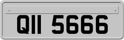 QII5666