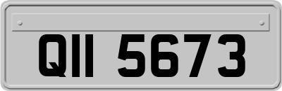 QII5673