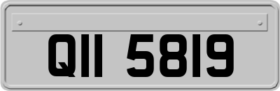 QII5819