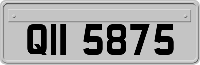 QII5875