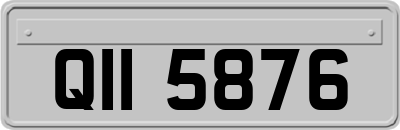QII5876