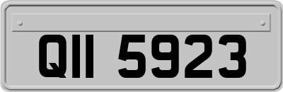 QII5923