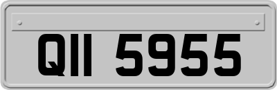 QII5955