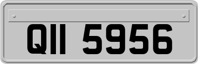 QII5956