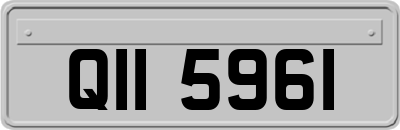 QII5961