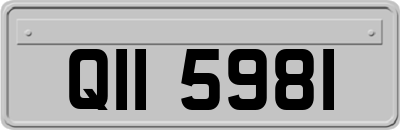 QII5981