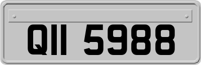 QII5988