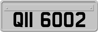 QII6002
