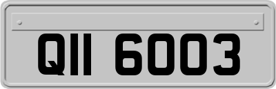 QII6003