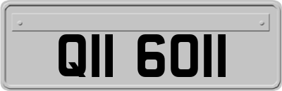 QII6011