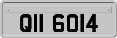 QII6014