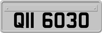 QII6030