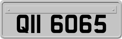 QII6065