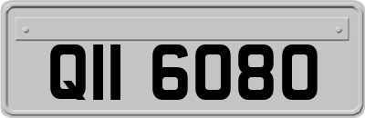 QII6080