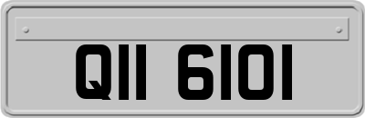 QII6101