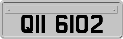 QII6102