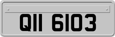 QII6103