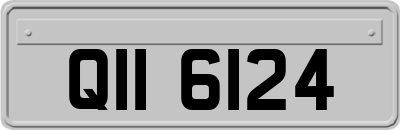 QII6124