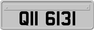 QII6131