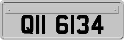 QII6134