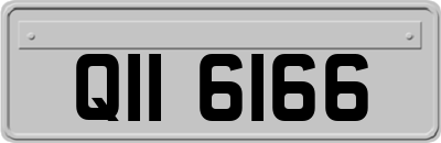 QII6166