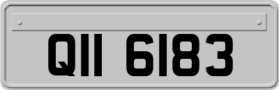 QII6183