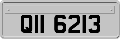 QII6213