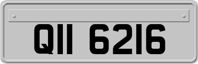 QII6216