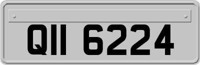 QII6224