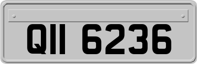 QII6236