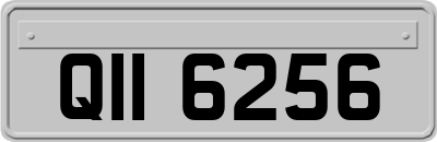 QII6256