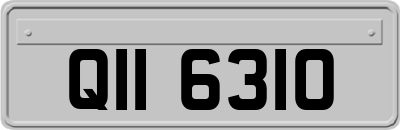 QII6310