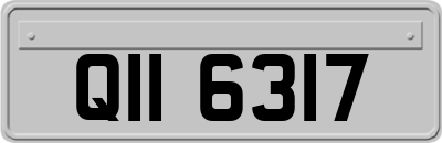 QII6317