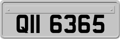 QII6365