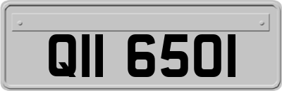 QII6501