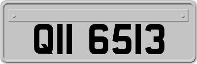 QII6513