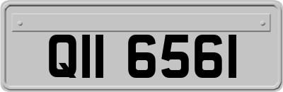 QII6561