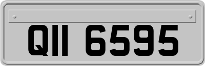 QII6595