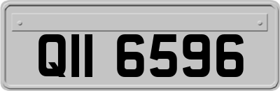 QII6596