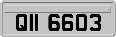 QII6603