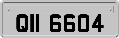QII6604
