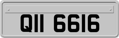QII6616