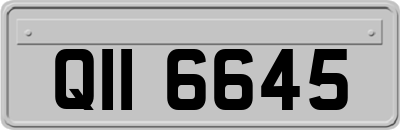 QII6645