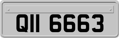 QII6663