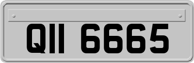 QII6665