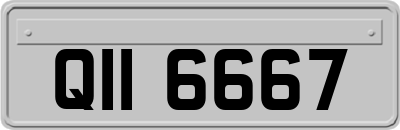 QII6667