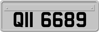 QII6689