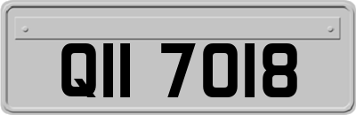 QII7018